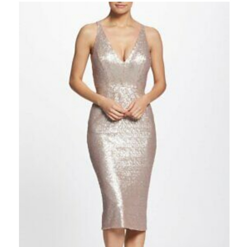 Dress the Population Sequin Dress